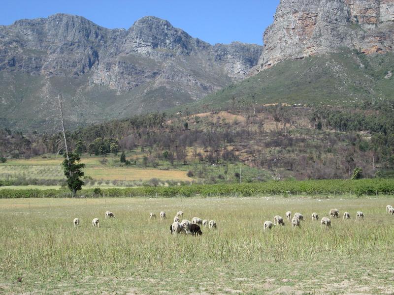 Commercial Property for Sale in Paarl Western Cape